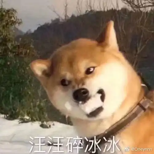 目前出道十年以上女歌手最火,最有作品的竟然是