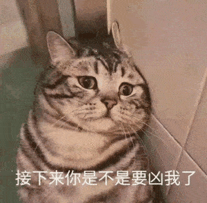 近期热门搞笑沙雕表情包