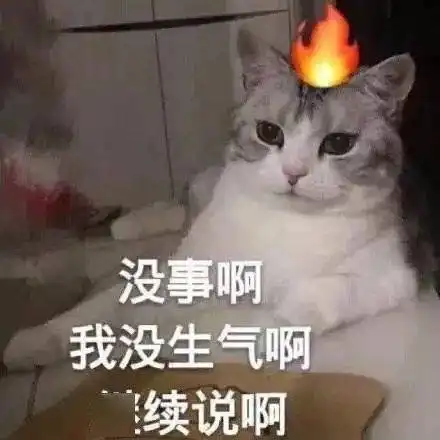 我被隔离后,家被拆了个底朝天,看得人血压上来了哈哈哈哈哈