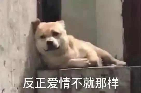 一期有内涵的表情包,你能读懂吗试图挽留假期的我