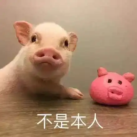 你在刚出国时闹过哪些笑话抱歉,我又没忍住