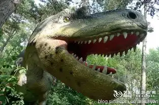 梵蒂冈的天空下