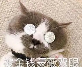 财大的女生单身太久会变成什么样