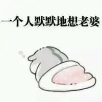 小松鼠老婆表情包