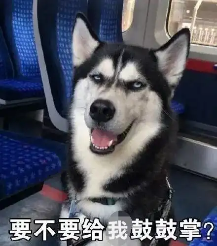 这次,二哈终于遇上了可以打败的对手