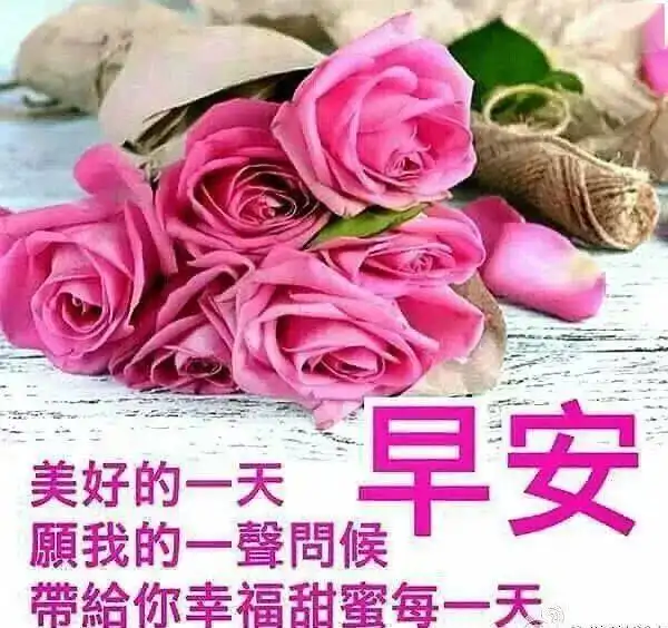 微信早上好动态漂亮图片问候新版早上好温馨祝福短信