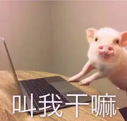 沙雕问题,被问到窒息的问题