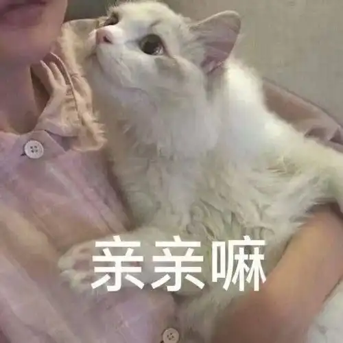 有哪些情侣之间用的图片,表情包