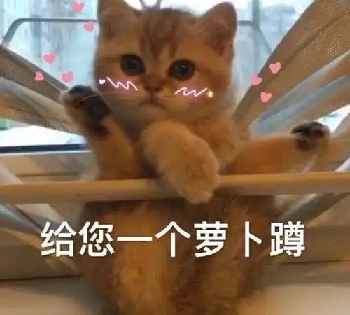 最新热门表情包动图片可爱迷人抱我
