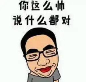 表情包你帅说什么都对