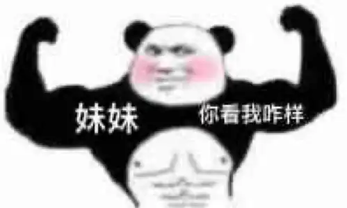 熊猫脸搞笑表情包2