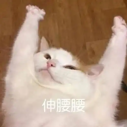 新学期开始啦,让我们和社恐说再见
