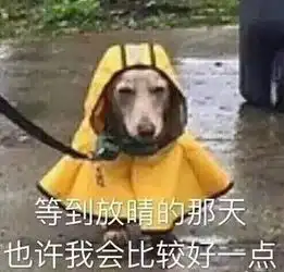 搞笑表情微信斗图必备搞笑图