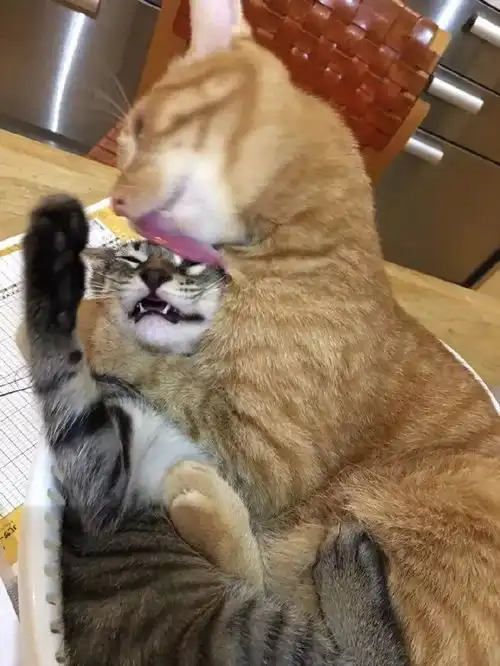 轻松一刻