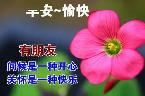早上好漂亮表情祝福图片,平安祝福早上好问候祝福语