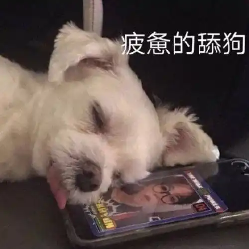 宝,我今天打了疫苗什么疫苗想你的每一秒
