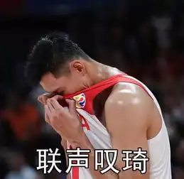 表情包姚明我太难了,中国男篮太难了