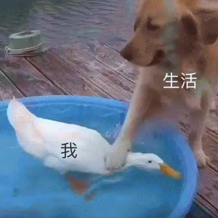 可怕这个毒素致死率高达40,近期的木耳中毒粿条中毒都是因为它