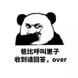 熊猫头表情包下载熊猫头对讲机对话表情包8p极光下载站