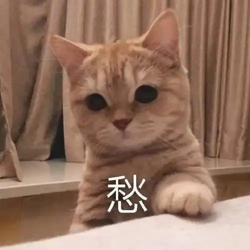 这些地区将实行统一高考教育部终于回应了