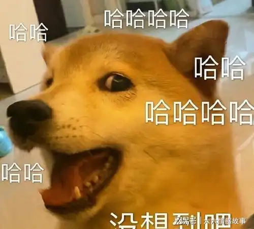 测试一个超长简介的文章