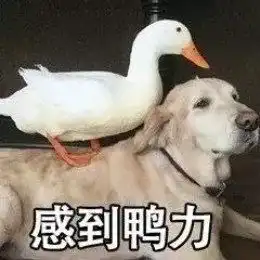 萧山这家喜铺本周末要爆棚了,自带ins风的伴手礼低至5折
