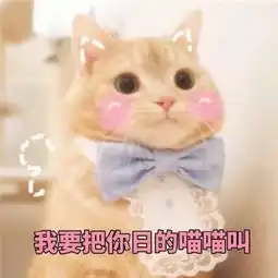 男票打游戏不回消息用奶凶表情包怒怼他,分分钟对你唯命是从