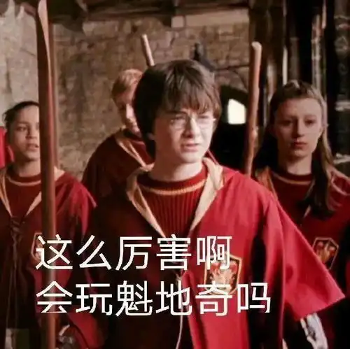 哈利波特表情包今天不学习明天变垃圾