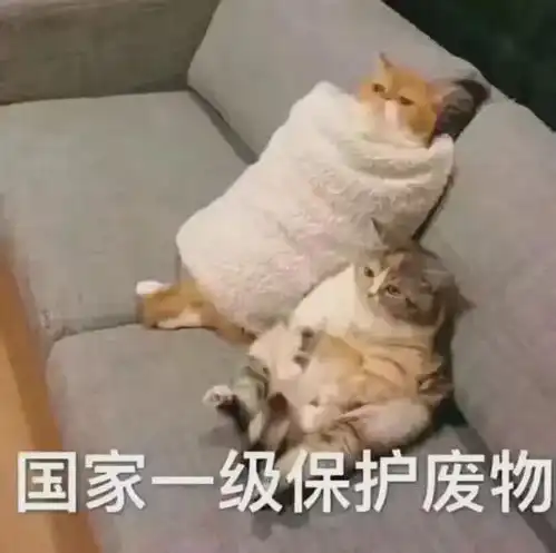 房间在家的时候,父母总会找什么理由来骂我网友稿件太好笑了
