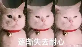 孩子语文烂的扶不上墙别老骂ta不用功,可能是阅读障碍哦