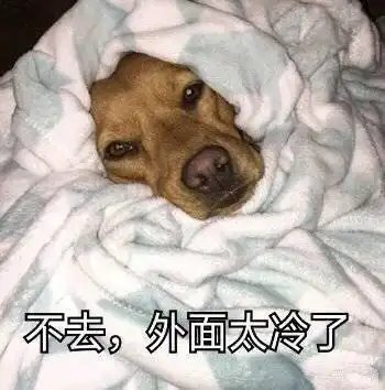 天气冷搞笑表情包请问你是不是想冷死我