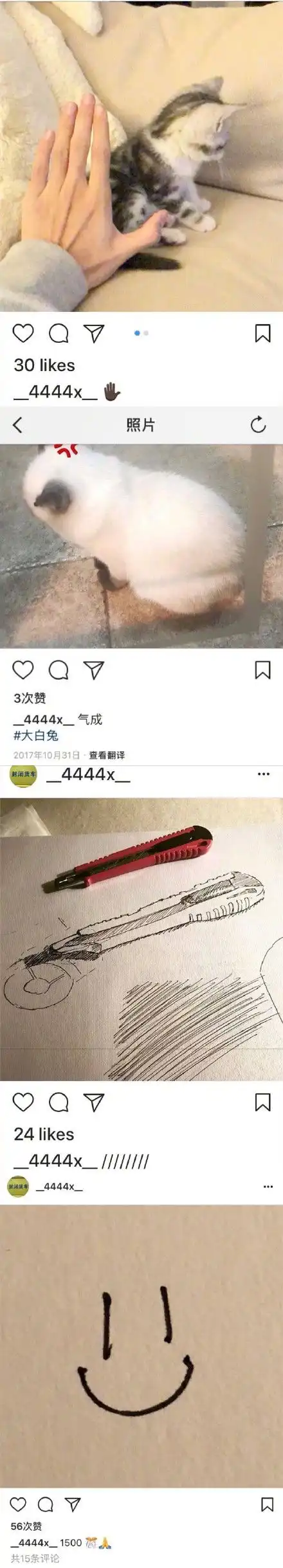 易烊千玺ins小号画风独特疑似萌宠博主,四字弟弟真是有趣的灵魂