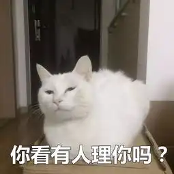 这是两张百搭的猫咪表情包,你能想到什么好玩的话来配