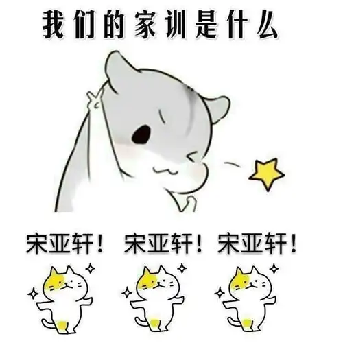 请问台风少年团宋亚轩有哪些好玩的表情包吗