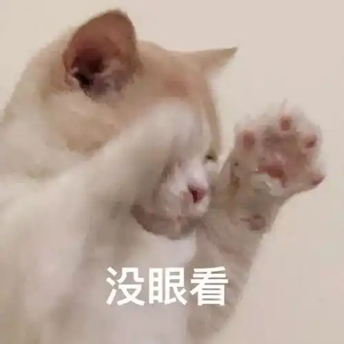 维密天使丑到哭,大腿还是没我粗