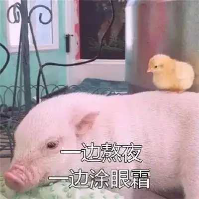 测试一个超长简介的文章