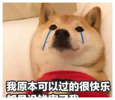 搞笑段子我爸卖给收废品的了,忘不了那一次男女混合双打