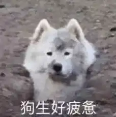 各院校今年时间节点