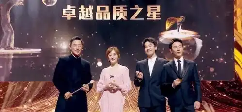 贾乃亮主持电视剧精品大典,结果却是孙俪成最大赢家