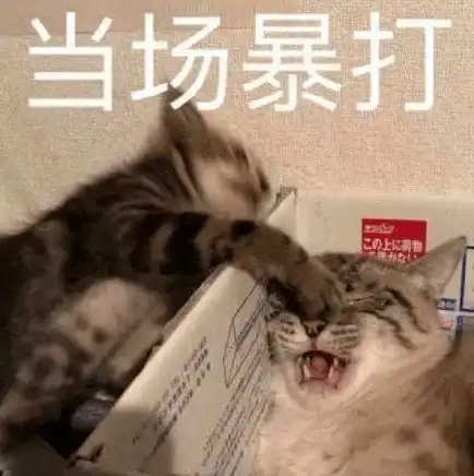 乾隆一辈子写了四万多首诗,为啥一首都没进课本