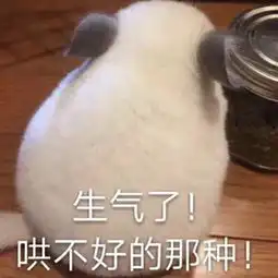 和大猪蹄聊天生气了,就给他这几个表情吧,让他明明白白了解你