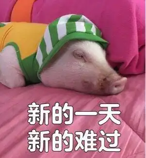 关于猪的搞笑表情包开心得像个小猪仔