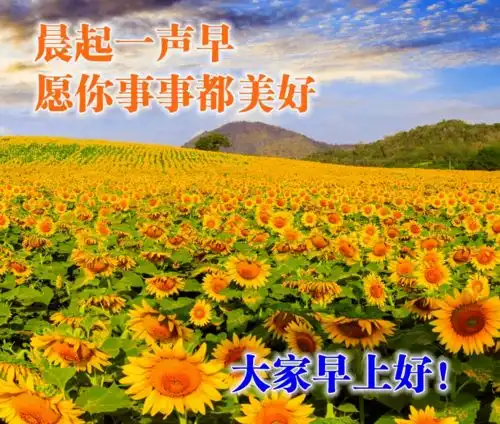 早安吉祥在经历中求快乐,在真情中求幸福,早安,朋友