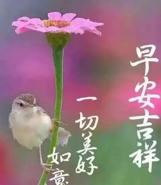 让快乐的感觉永久地持续,用我深深的祝福铸就你今生的甜蜜,早安