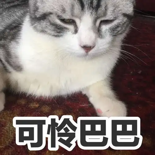 你的宠物有哪些有趣的表情包