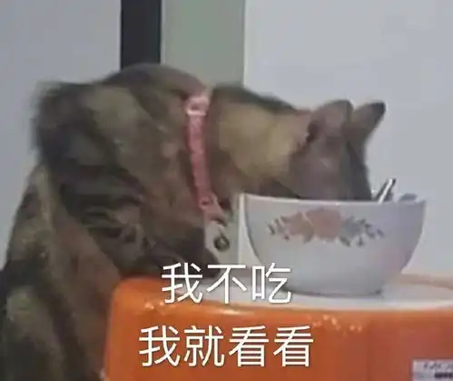 搞笑表情包图片像不像你,吃饭时的样子