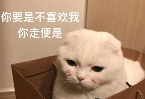 据说养猫的人都有这些困扰