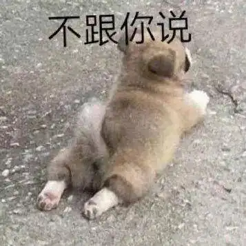 搞笑gif你们这是严重超载啊,八人骑一辆摩托车
