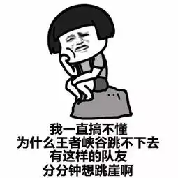 如果王者荣耀能杀队友就好了