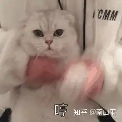 有没有无敌搞笑的动态表情包